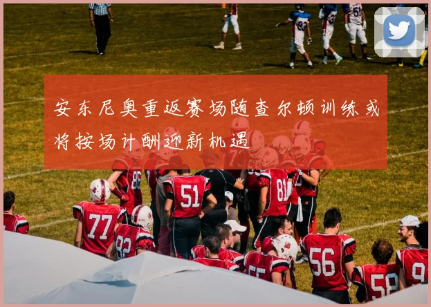 安东尼奥重返赛场随查尔顿训练或将按场计酬迎新机遇